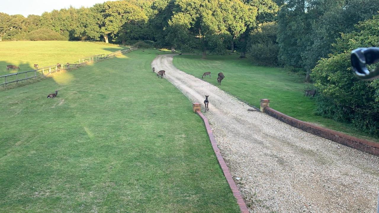 Vila Yards Brake On 40 Acres Of Private Land Langton Matravers Exteriér fotografie