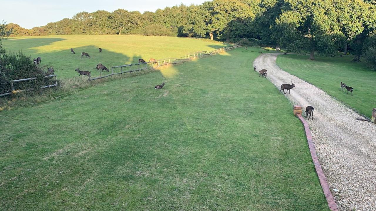 Vila Yards Brake On 40 Acres Of Private Land Langton Matravers Exteriér fotografie