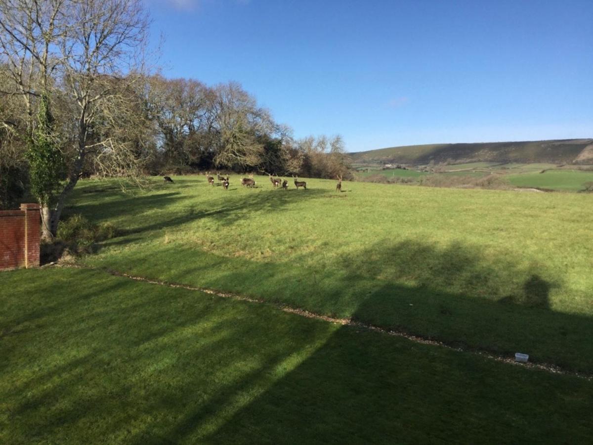 Vila Yards Brake On 40 Acres Of Private Land Langton Matravers Exteriér fotografie