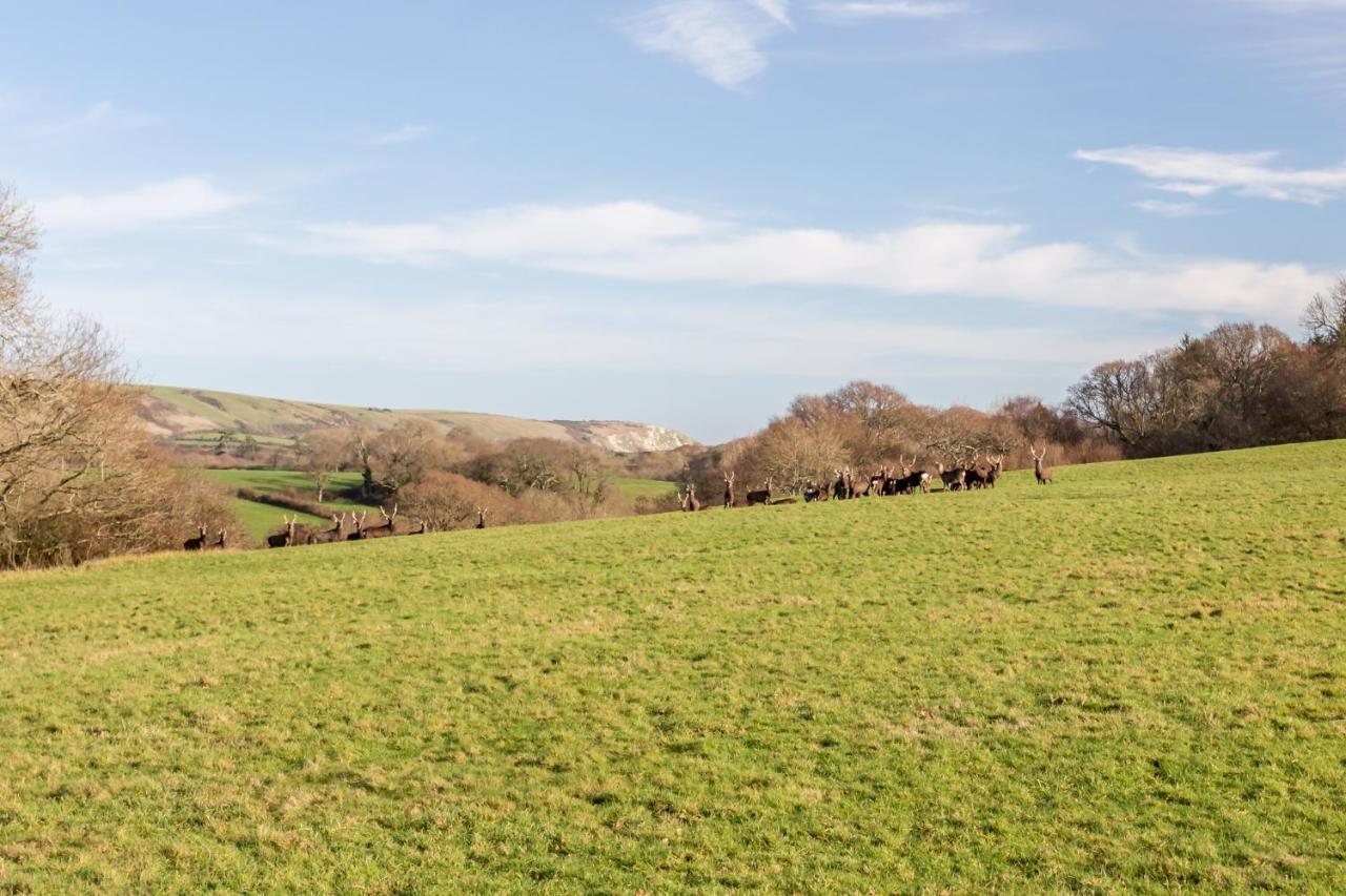 Vila Yards Brake On 40 Acres Of Private Land Langton Matravers Exteriér fotografie